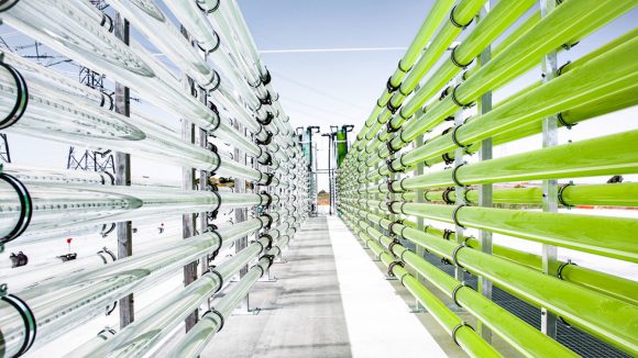 Nachhaltig gegen Reputationsrisiken