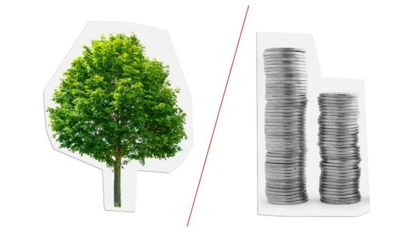 Wachstum oder Profitabilität?