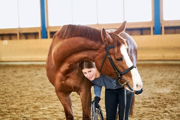 «Entscheidender als die Rasse ist, wie man Pferde hält und wie man mit ihnen umgeht.» Am wohlsten fühlen sie sich in der Gruppe ― und sie folgen gerne einem Leittier.