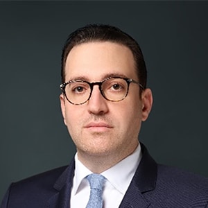 Potrait image of Bassel Zaouk