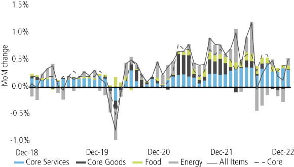 A combined line and bar graph showing the month-on-month trend of US consumer prices, along with its core constituent parts such as ‘core services’, ‘core goods’, ‘food’ and ‘energy’.