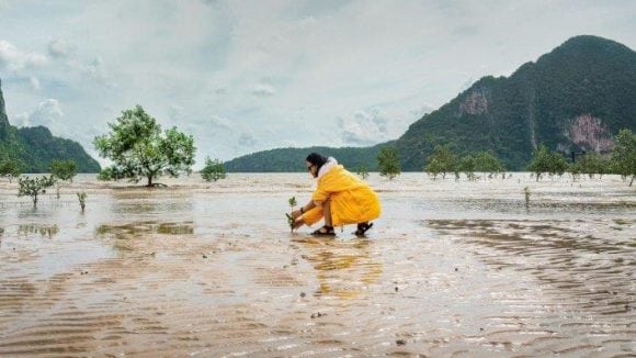 Women looking at the mountains with windmills