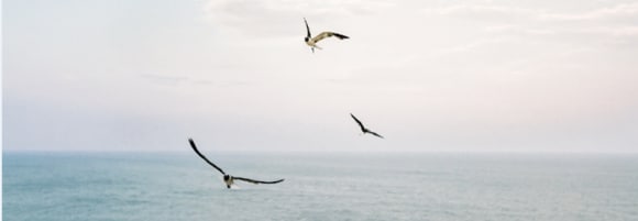 基金投資入門:什麼是ESG投資?ESG投資規模有多大?