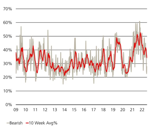 Line charts showing the results of the American Association of Individual Investors survey of investor sentiment towards the stock market, showing bearish