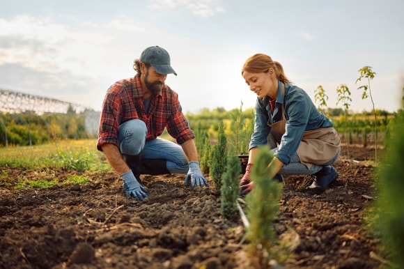 Man and woman planting tree seedlings