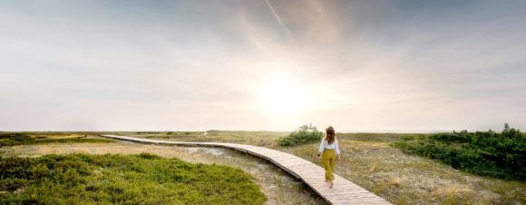 women walking on boardwalk