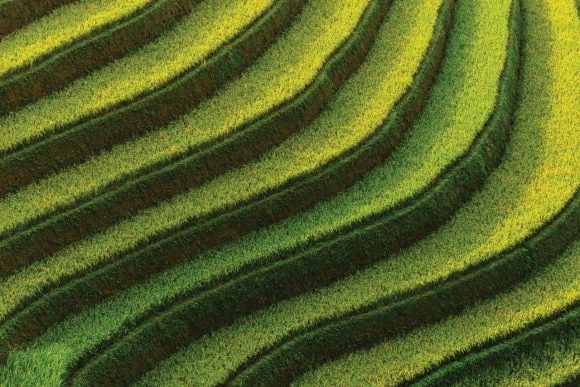 Layer of rice fields on terraced landscape
