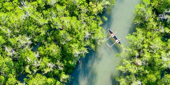 Person watering raised bed garden