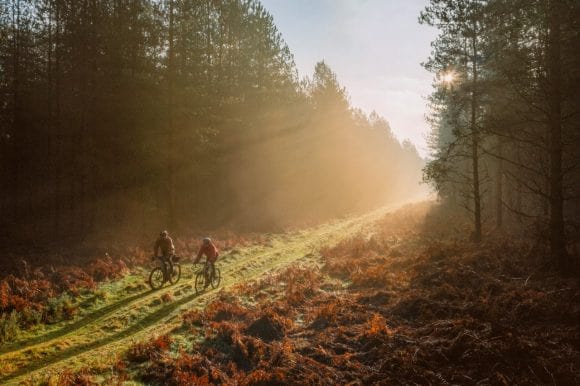 Two men cycling through forest